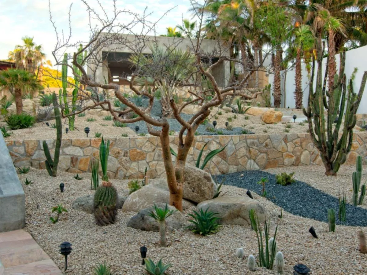Paisajismo desértico con cactáceas y rocas junto a la escalinata de concreto, proyecto El Encanto